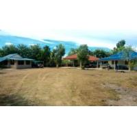 ราคา ขายที่ดินอยุธยา 1ไร่ 167 ตรว. ใกล้โรงงานยาคูลท์ อยุธยา (363102)