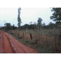 ราคา ที่ดินสวยห่างจากถนนแจ้งสนิท 1กม อ.บ้านไผ่ จังหวัดขอนแก่น โฉนด 222 ไร่ (277909)