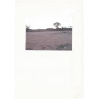 ราคา ที่ดิน อำเภอมวกเหล็ก โฉนด 40 ไร่ ด้านหน้าติดถนน ด้านหลังติดน้ำตก7สาวน้อย ถมแล้ว (278047)