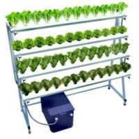 ราคา ชุดรางสำเร็จรูปสำหรับปลูกผักไฮโดรโปนิกส์ ผักไร้ดิน ขนาด 48 หลุม รุ่น Townhouse Farm 003 (253248)