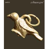ราคา นกสาริกาลิ้นทอง เรียกทรัพย์ (369523)