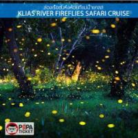 ราคา [E-TICKET ] ตั๋วล่องเรือชมหิ่งห้อยที่แม่น้ำแคลส (Klias River Fireflies Safari Cruise) (378245)