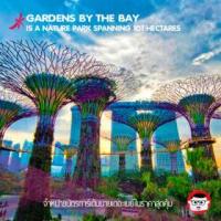 ราคา [ E-TICKET ] บัตรเข้า Gardens By The Bay Singapore (การ์เด้นบายเดอะเบย์) (378251)
