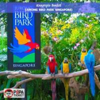 ราคา [ E-TICKET ] บัตรเข้าสวนนกจูร่ง สิงคโปร์ (Jurong Bird Park Singapore) (378264)
