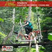 ราคา [ E-TICKET ] บัตรเข้าไฟล์ท ออฟ เดอะ กิบบอน เชียงใหม่ (Flight Of The Gibbon Chiang Mai Thailand) (378269)