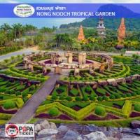 ราคา [ E-TICKET ] บัตรเข้าชมสวนนงนุช พัทยา (Nong Nooch Tropical Garden Pattaya Thailand) (378271)