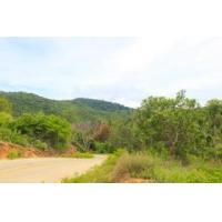 ราคา ขายถูกที่ดินติดถนนคอนกรีตธารเสด็จเกาะพะงัน