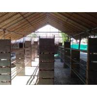 ราคา จำหน่ายตับจาก ใบจากมุงหลังคา ราคาถูก ในกรุงเทพ