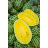 ราคา เมล็ดพันธุ์แตงโมเหลือง (สายพันธุ์ 'รัน รัน') (382262)