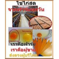 ราคา ไข่ไก่สดจากฟาร์มทุกวัน (366730)
