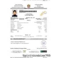 ราคา DXB - DUBAI E-VISA 14 DAYS. (370249)