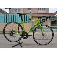 ราคา ขาย เสือหมอบ TRINX R600N