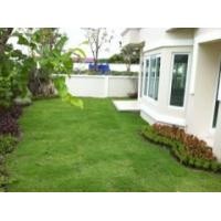 ราคา บ้านเช่ารามคำแหง ม.เพอร์เฟคเพลส รามคำแหง164 บ้านใหม่พร้อมเฟอร์ (124453)