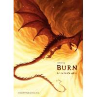 ราคา หนังสือ เผาผลาญ Burn (9786168175279)