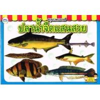 ราคา หนังสือ สมุดภาพระบายสี ปลาน้ำจืดแสนสวย (8856652021922)
