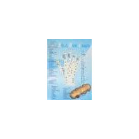 ราคา หนังสือ RELAX HAND CHARTS (9990000049660)