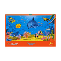 ราคา COLLEEN สีไม้ระบายน้ำ จำนวน 36 สี (K091471)