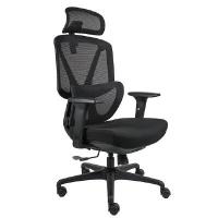 ราคา เก้าอี้เพื่อสุขภาพ เฟอร์ราเดค รุ่น Optimus สีดำ (A014795)