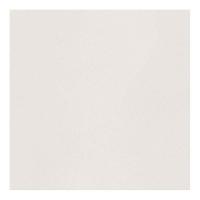 ราคา BASIQ กระเบื้อง DDAYTON BONE (AGT602135R)60X60 *A (1086191)