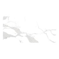 ราคา DARA BELDOCER STATUARIO (G) 30X60*A (1247719)