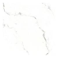 ราคา BASIQ กระเบื้อง DIONTE CARRARA (SP6PT84T) 60X60*A (1101257)