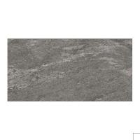 ราคา BASIQ TREVOR BLACK (SM) 30X60*A (1212844)