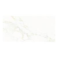 ราคา BASIQ LAVIS WHITE MATT 60X120 *A (1248869)