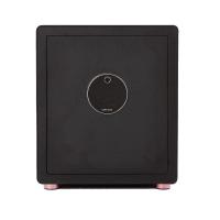 ราคา XIAOMI ตู้เซฟ CRMCR BY XIAOMI รุ่น PRO-45 สีดำ (1254584)