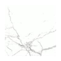 ราคา BASIQ NEW DUBLIN WH.(CM60P320A) 60X60 *A (1258649)