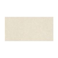 ราคา BASIQ RAVELLO CLAIR LAP (RV01NL62) 60X120*A (1310222)