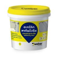 ราคา WEBER เวเบอร์.ดราย ซีล 1 กก. สีเทา (1078366)