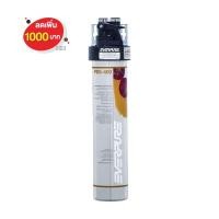 ราคา EVERPURE เครื่องกรองน้ำ EVERPURE รุ่น PBS-400 (1026883)
