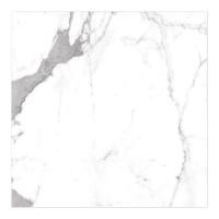 ราคา Cotto กระเบื้องปูพื้น คอตโต้ รอยัล สตาตูอาริโอ้ (SATIN) R/T 24X24 นิ้ว