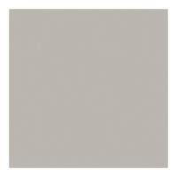 ราคา Cotto กระเบื้องปูพื้น คอตโต้ เทอร์เรเนียม เทาอ่อน (POL) R/T 24X24 นิ้ว