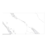 ราคา Cotto กระเบื้อง คอตโต้ โลซิออง (POL) ตัดขอบ 24X48 นิ้ว