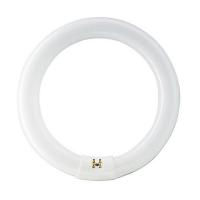 ราคา PHILIPS หลอดนีออนกลม LED COREPRO 20W/DL (1128580)