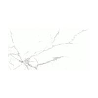 ราคา BASIQ NEW DUBLIN WH. M.(CM126H320A) 60X120*A (1258648)