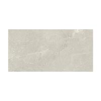 ราคา COTTO (TILE) GP56962 EFESO DESERT MATT R10 24X48 9 A (1321956)