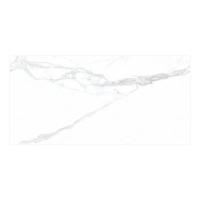 ราคา GANI STATUARIOCALACATTAM(D1262809N-S)60X120*A (1198383)