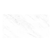 ราคา GANI WHITE VENUS 70 (D1262169BM) 60X120*A (1250325)