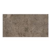 ราคา MILESTONE LEPTIS GRIGIO TERRA 120X240*A (1130178)