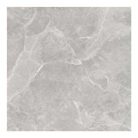 ราคา BASIQ ERAMOSA GRIS R10(DF601032)60X60*A (1253412)