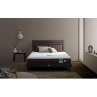 ราคา ที่นอน LOTUS รุ่น Intel II - ขนาด 6 ฟุต (8852248657063)