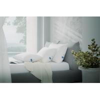 ราคา หมอนหนุนขนห่าน Omazz® รุ่น Celestia Siberian Goose Down - Firm (8859734147572)