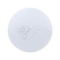 Carini ไฟเพดาน LED พลาสติก 15 นิ้ว สีขาว รุ่น TRY-SS36-HEHUA