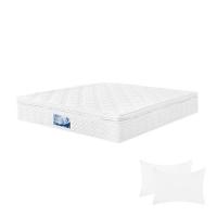 ราคา ที่นอน 5 ฟุต LADY AMERICANA HOTEL BOXTOP พร้อมหมอนหนุน 2 ชิ้น