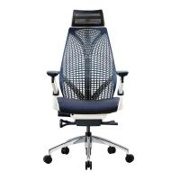 ราคา DF Prochair เก้าอี้เพื่อสุขภาพ รุ่น iCare