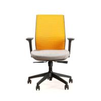 ราคา DF Prochair เก้าอี้เพื่อสุขภาพ รุ่น Loop