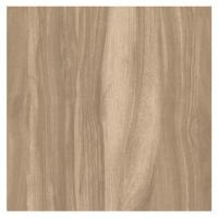 ราคา Cotto กระเบื้องปูพื้น คอตโต้ ปาโล ซานโต้ ซีเปีย (HYG) R/T 12X24 นิ้ว