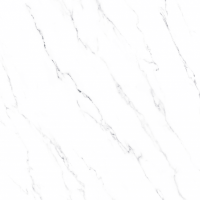 ราคา Campana กระเบื้องปูพื้น พีต้าไวท์ (R ) DR (A) 24X24 นิ้ว